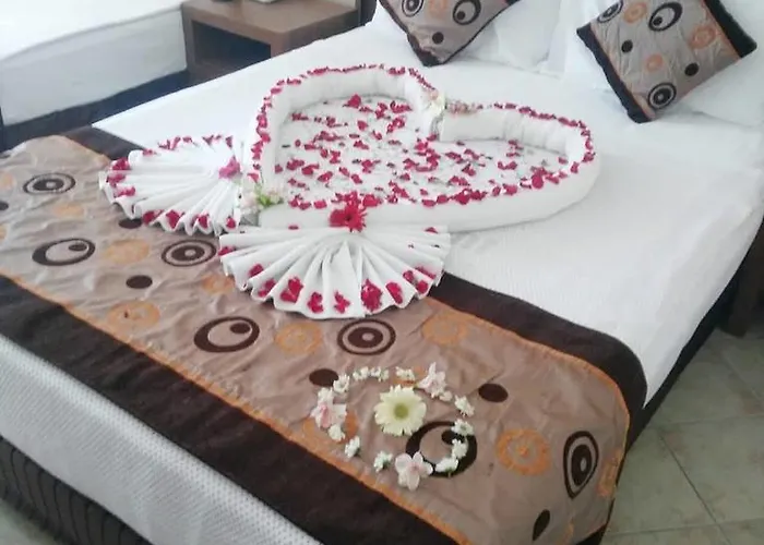 Euphoria Comfort Alanya